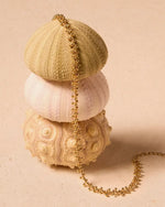 Choker gargantilla