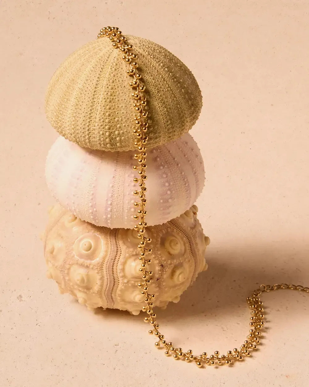 Choker gargantilla
